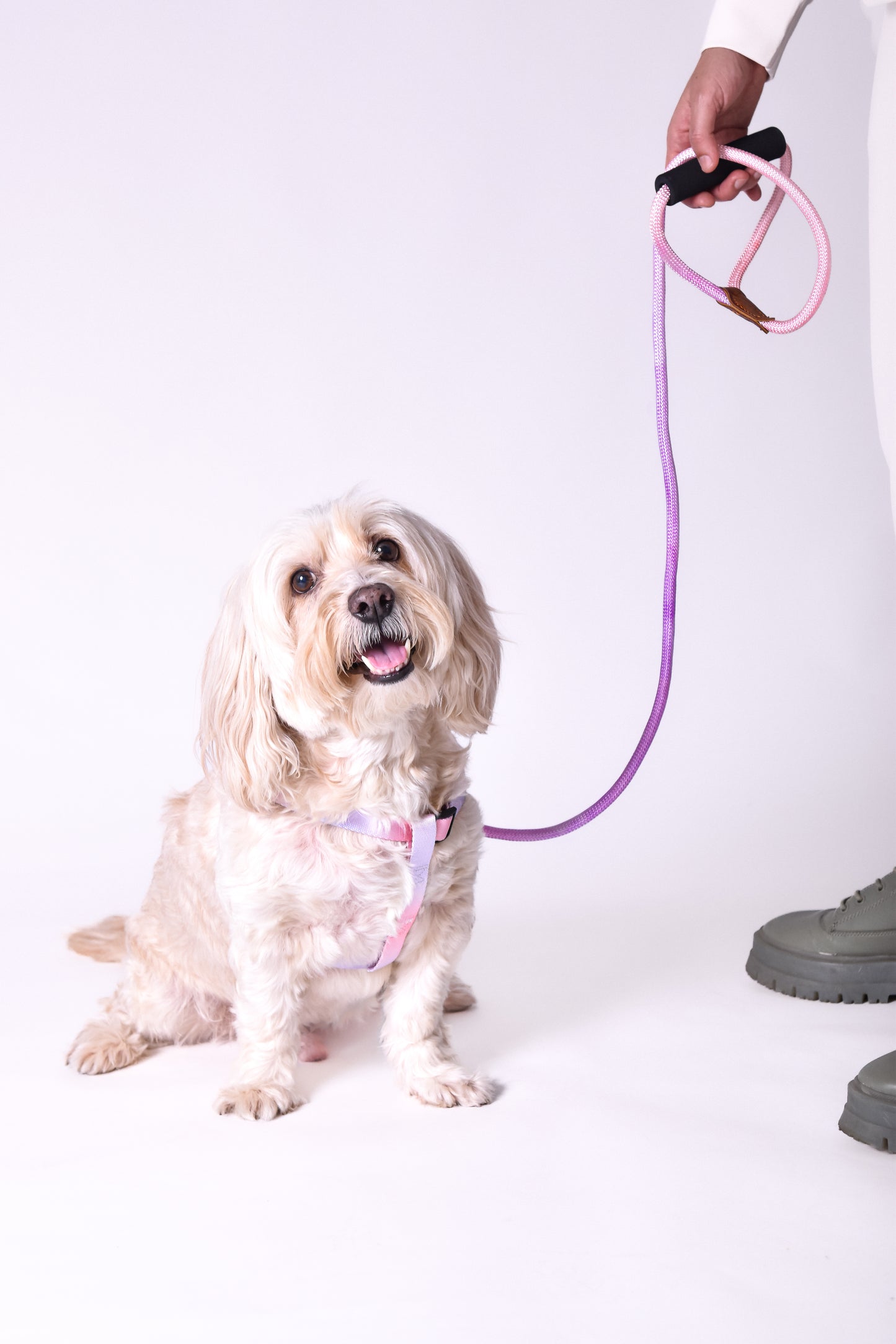 Kit correa + arnés para perro - NOGA store accesorios para perros, correas, comprar arneses, kits para perros, envíos a todo México, dónde comprar accesorios para perros