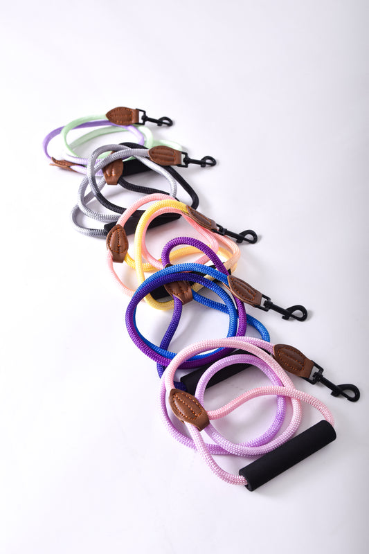 Kit correa + arnés para perro - NOGA store accesorios para perros, correas, comprar arneses, kits para perros, envíos a todo México, dónde comprar accesorios para perros