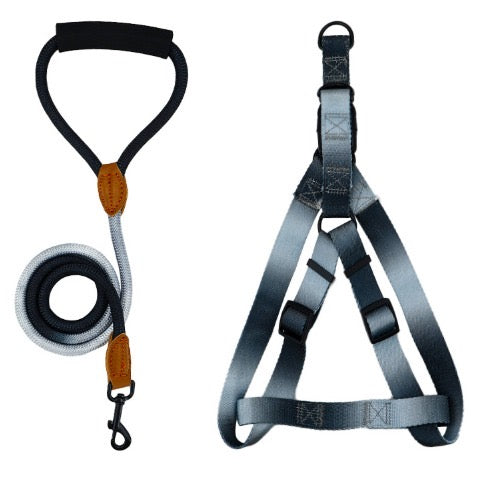 Kit correa + arnés para perro - NOGA store accesorios para perros, correas, comprar arneses, kits para perros, envíos a todo México, dónde comprar accesorios para perros