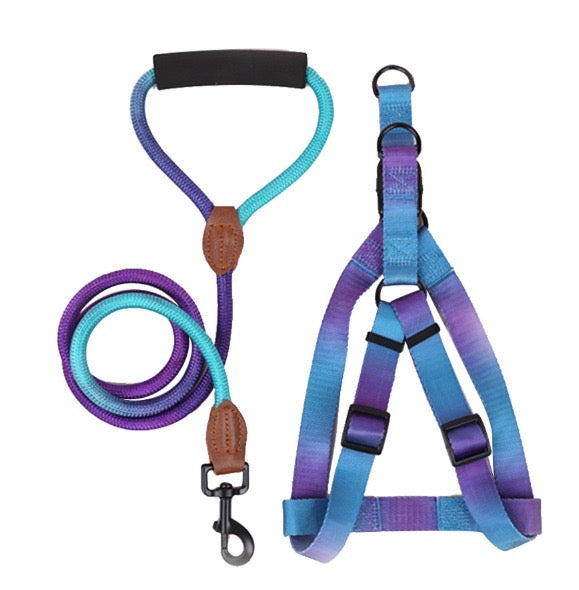 Kit correa + arnés para perro - NOGA store accesorios para perros, correas, comprar arneses, kits para perros, envíos a todo México, dónde comprar accesorios para perros