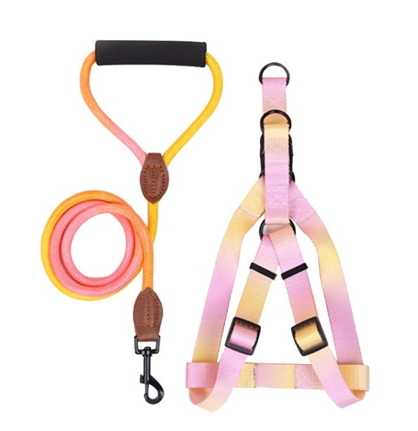 Kit correa + arnés para perro - NOGA store accesorios para perros, correas, comprar arneses, kits para perros, envíos a todo México, dónde comprar accesorios para perros
