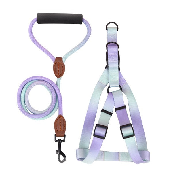 Kit correa + arnés para perro - NOGA store accesorios para perros, correas, comprar arneses, kits para perros, envíos a todo México, dónde comprar accesorios para perros