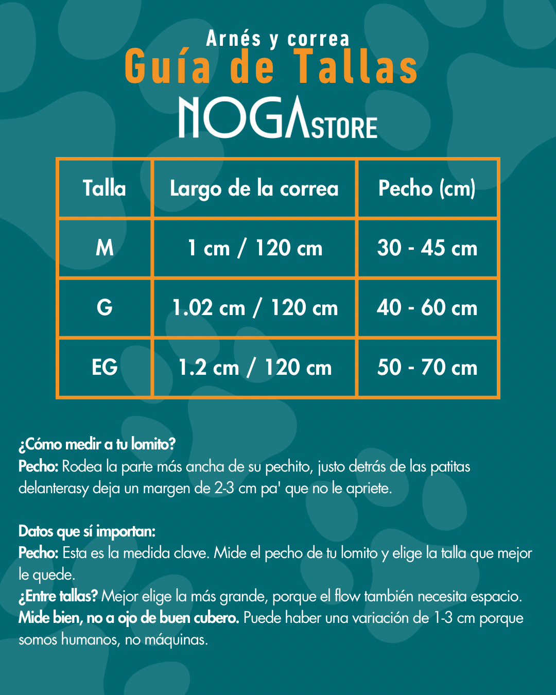Kit correa + arnés para perro - NOGA store accesorios para perros, correas, comprar arneses, kits para perros, envíos a todo México, dónde comprar accesorios para perros