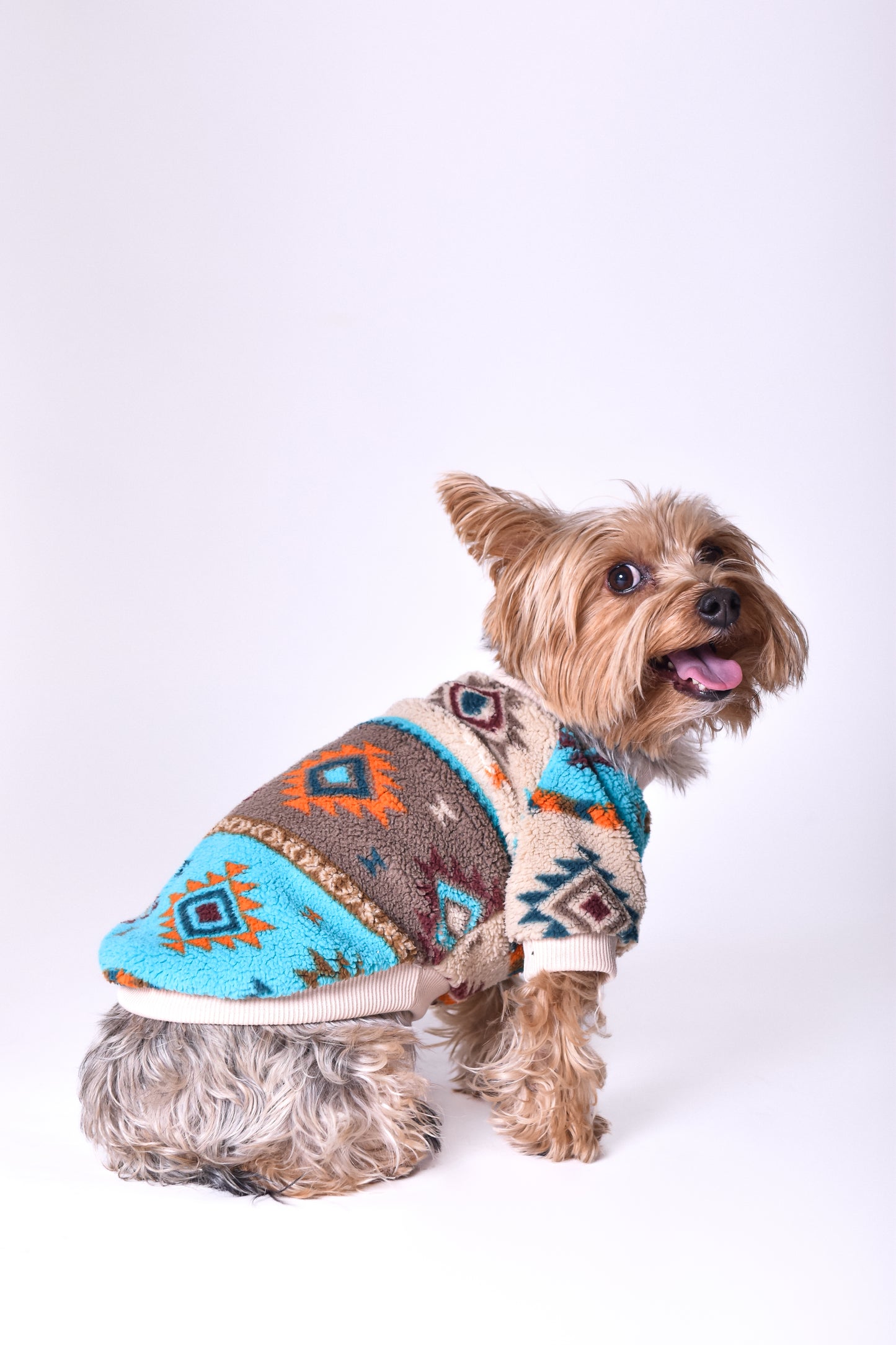 Suéter diseño étnico para perros - NOGA store accesorios para perros, correas, comprar arneses, kits para perros, envíos a todo México, dónde comprar accesorios para perros