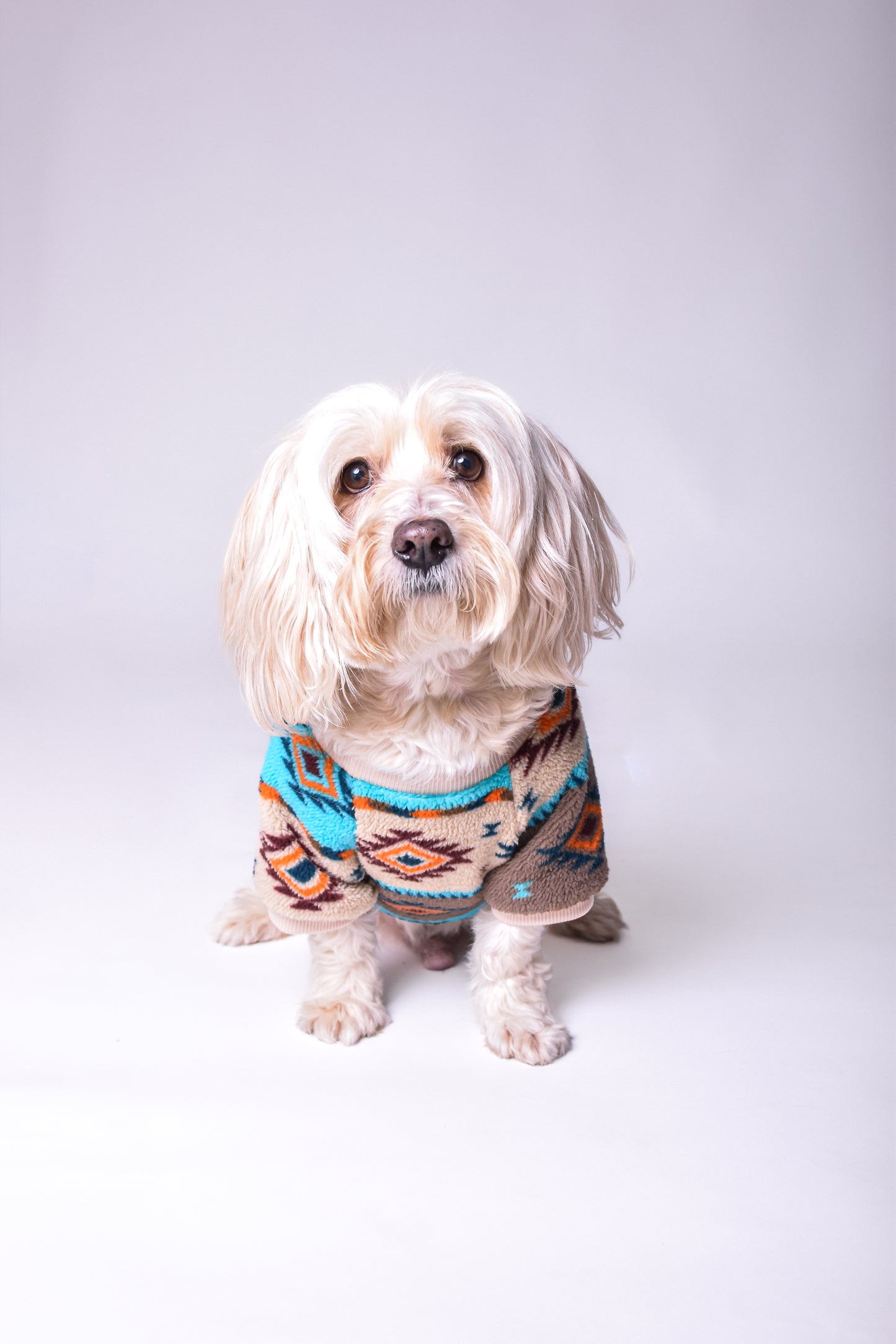 Suéter diseño étnico para perros - NOGA store accesorios para perros, correas, comprar arneses, kits para perros, envíos a todo México, dónde comprar accesorios para perros