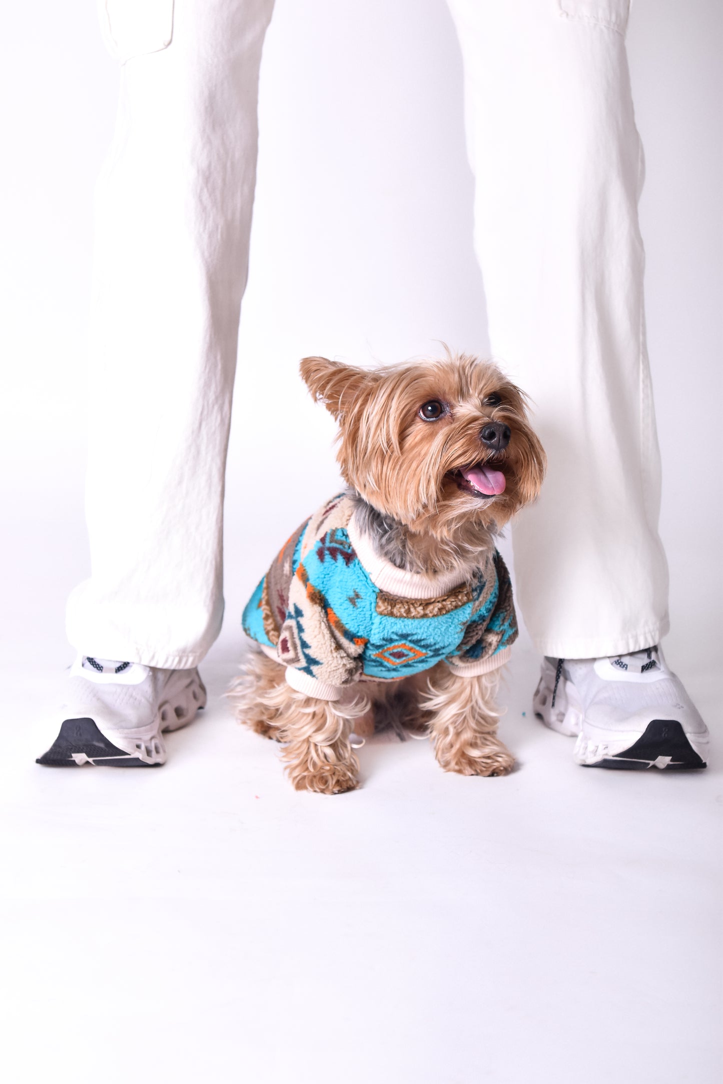 Suéter diseño étnico para perros - NOGA store accesorios para perros, correas, comprar arneses, kits para perros, envíos a todo México, dónde comprar accesorios para perros