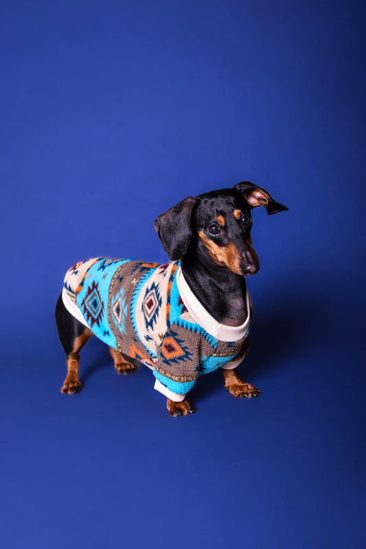 Suéter diseño étnico para perros - NOGA store accesorios para perros, correas, comprar arneses, kits para perros, envíos a todo México, dónde comprar accesorios para perros