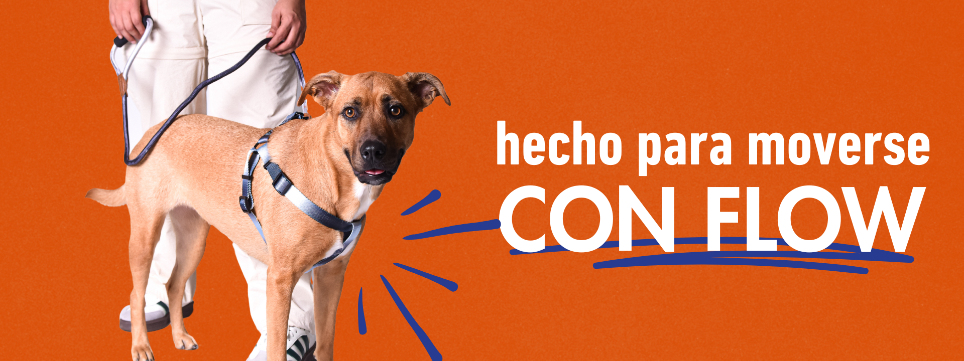 accesorios para perros kit arnes y correa perros grandes